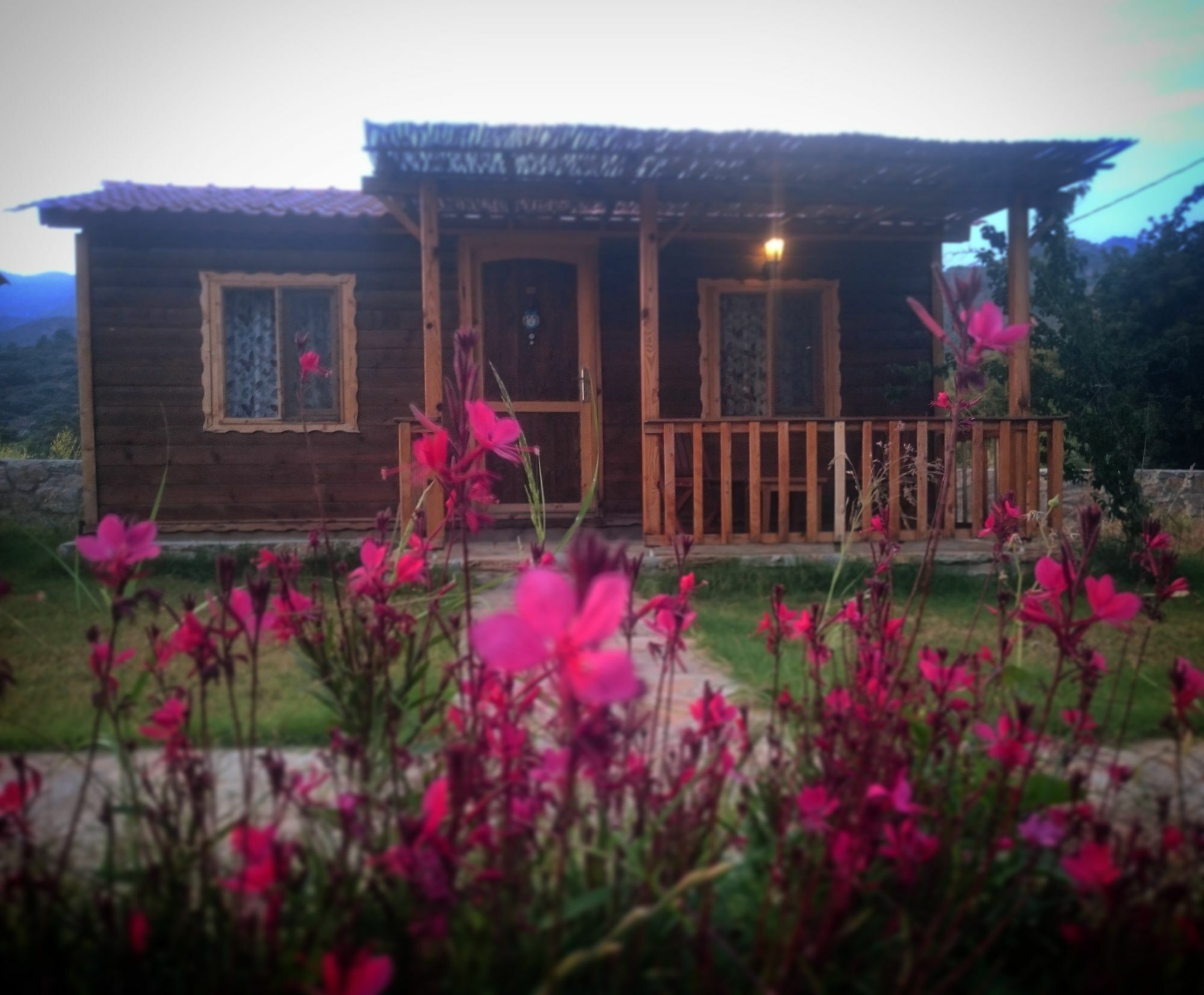 Ipekce Tatil Evleri Mesudiye  Extérieur photo
