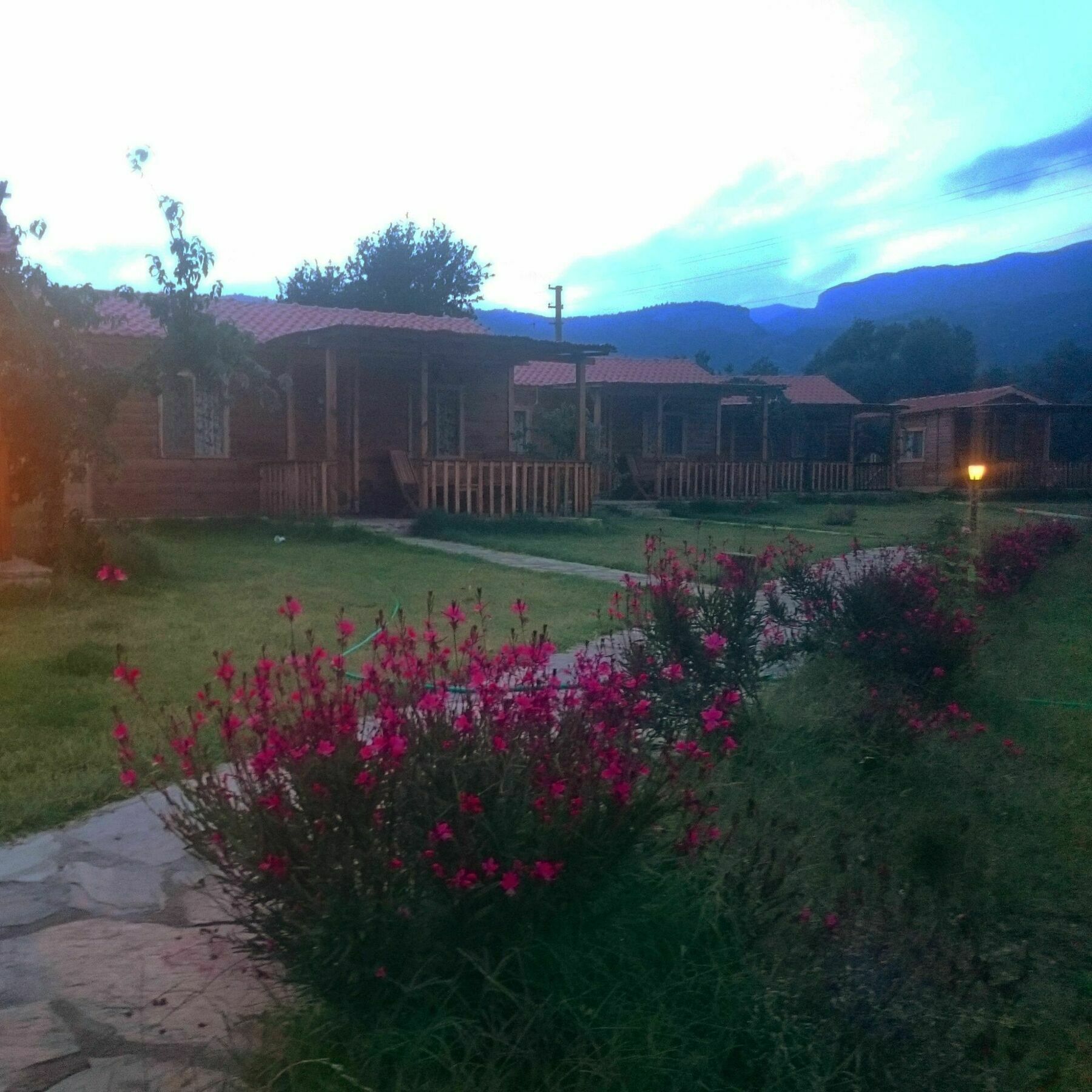 Ipekce Tatil Evleri Mesudiye  Extérieur photo
